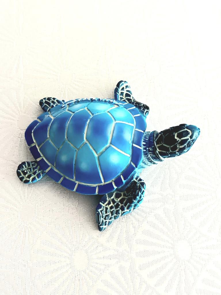Schildpad souvenir nieuw, Sieraden, Tassen en Uiterlijk, Broches, Ophalen, Nieuw, Overige materialen