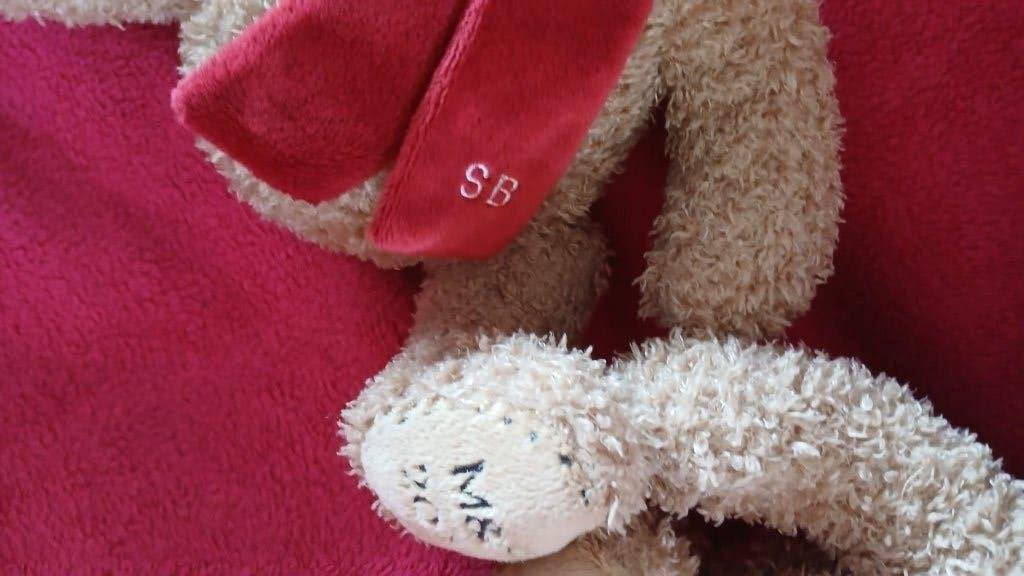 2 SPENCER KERST BEREN UIT 2022, Ophalen of Verzenden, Zo goed als nieuw