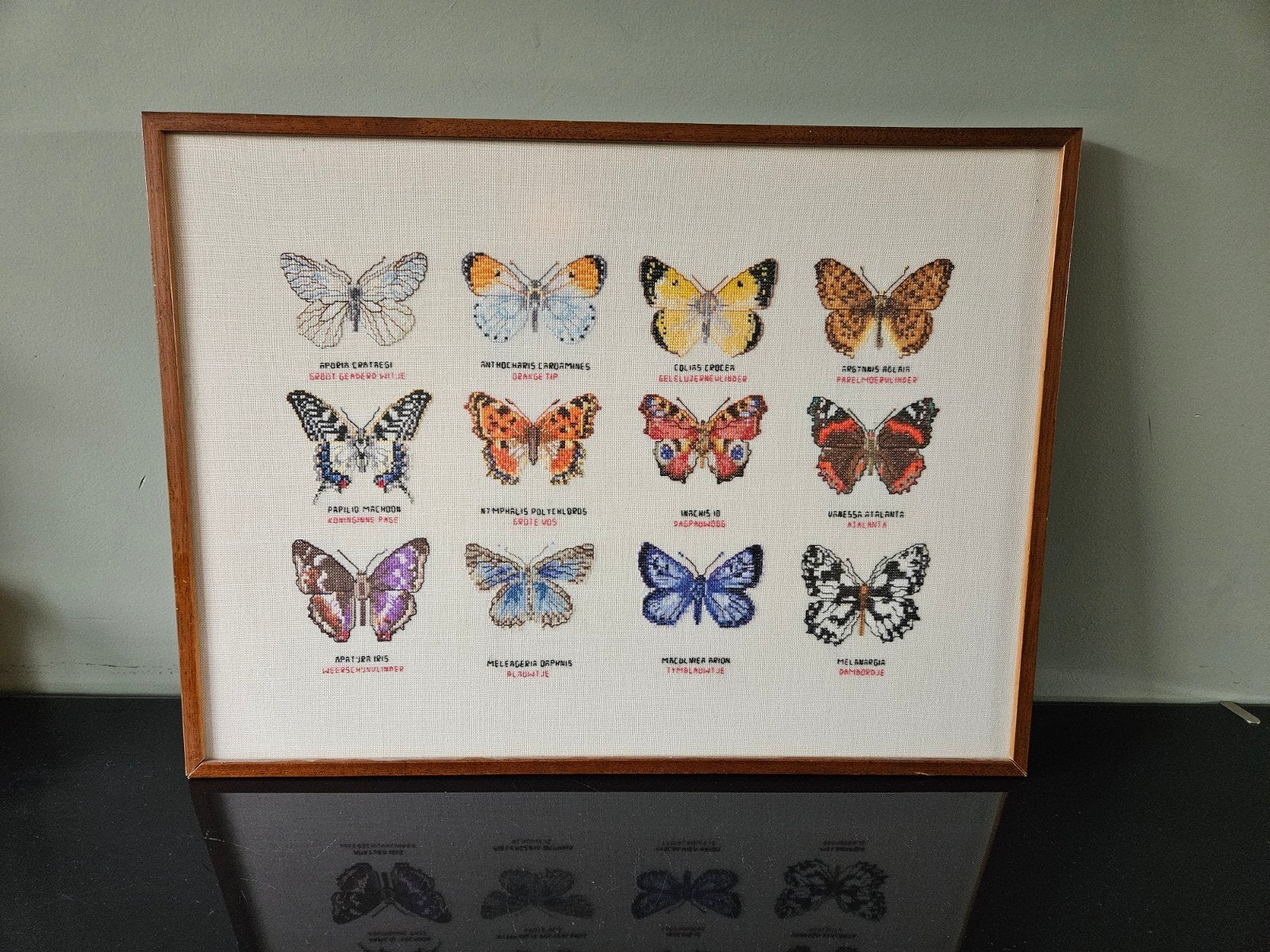 Geborduurde vlinders ingelijst in houten lijst, vintage, Minder dan 50 cm, Gebruikt, Oorspronkelijke maker, Overige typen