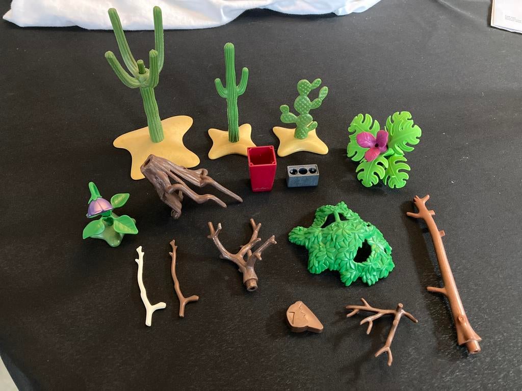 Playmobil cactus ed…., Ophalen of Verzenden, Zo goed als nieuw