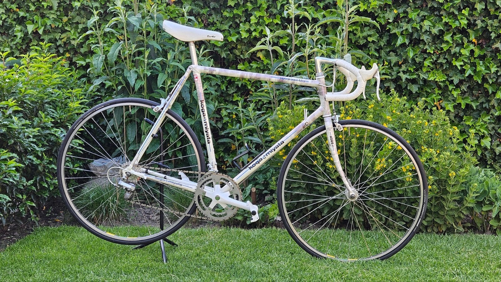 Koga Miyata SuperWinnerAlloy 1988, Fietsen en Brommers, Fietsen | Racefietsen, Ophalen, Gebruikt, 57 tot 61 cm, Koga Miyata