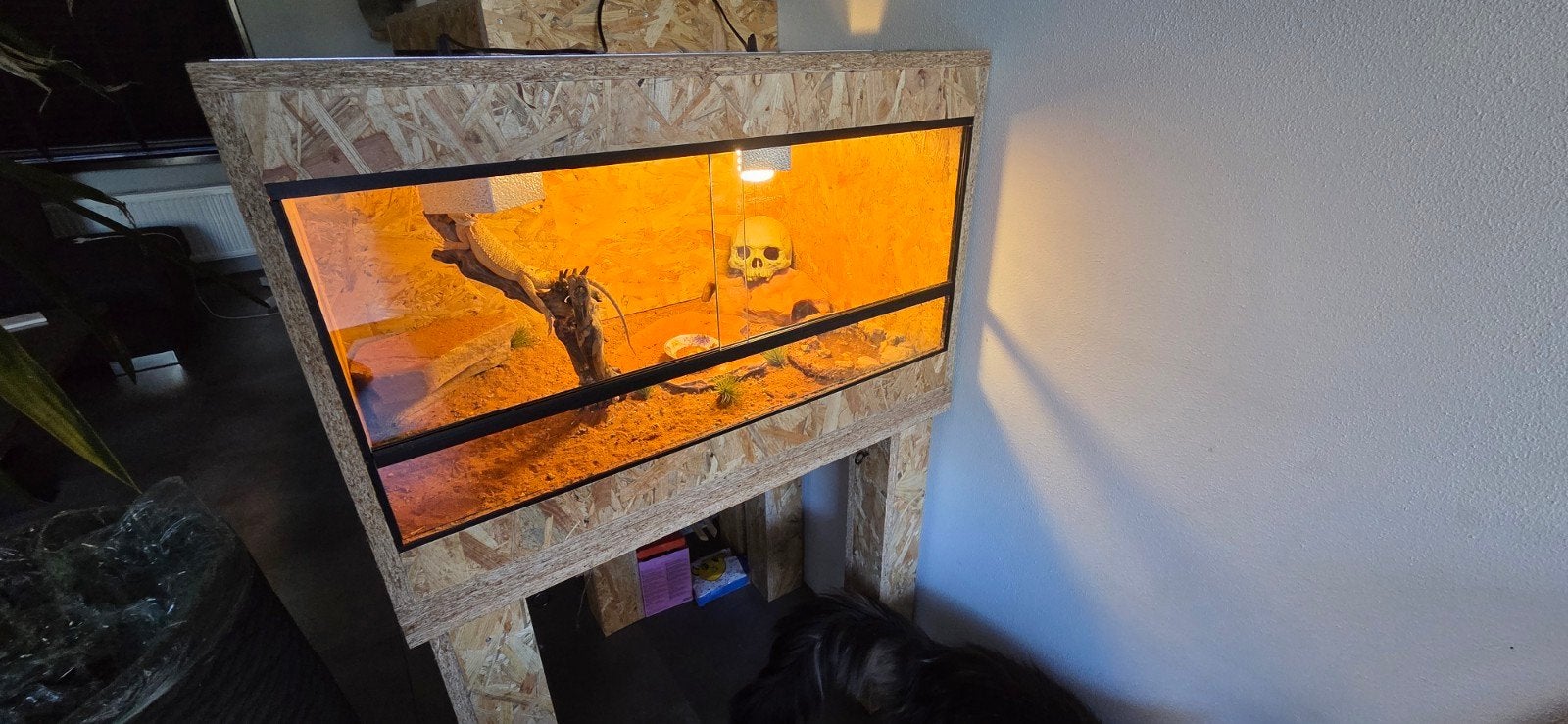 2 osb terrarium 100x50x60 en 80x50x50, Ophalen