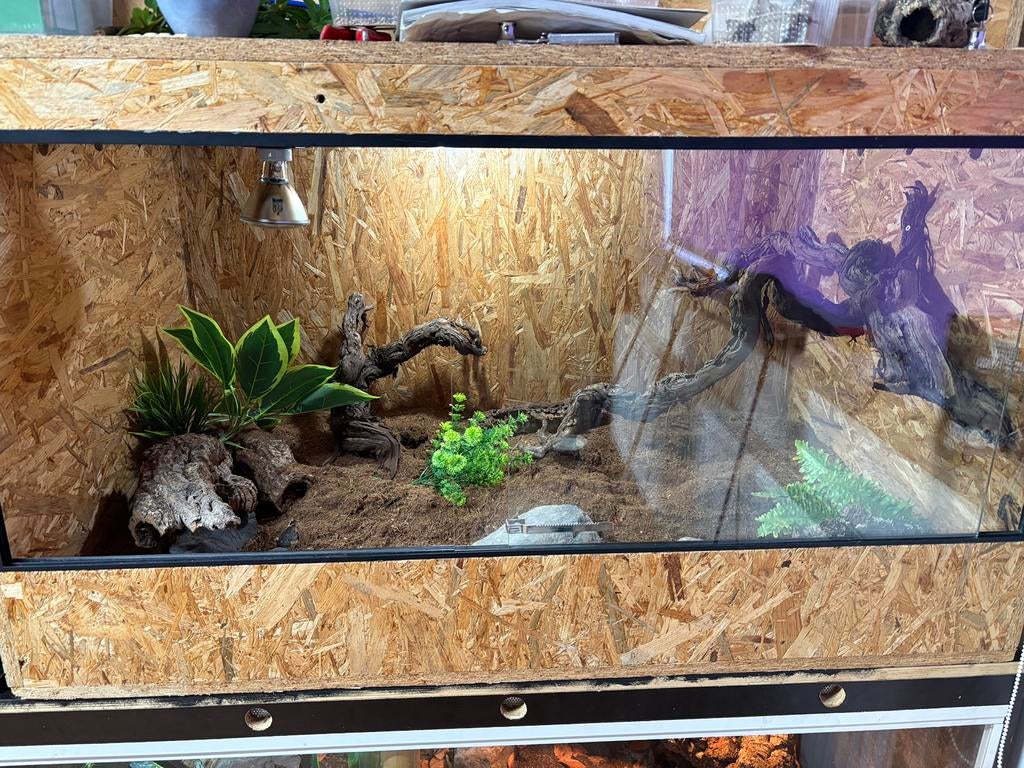 Terrarium 120x70x70, Ophalen, Gebruikt
