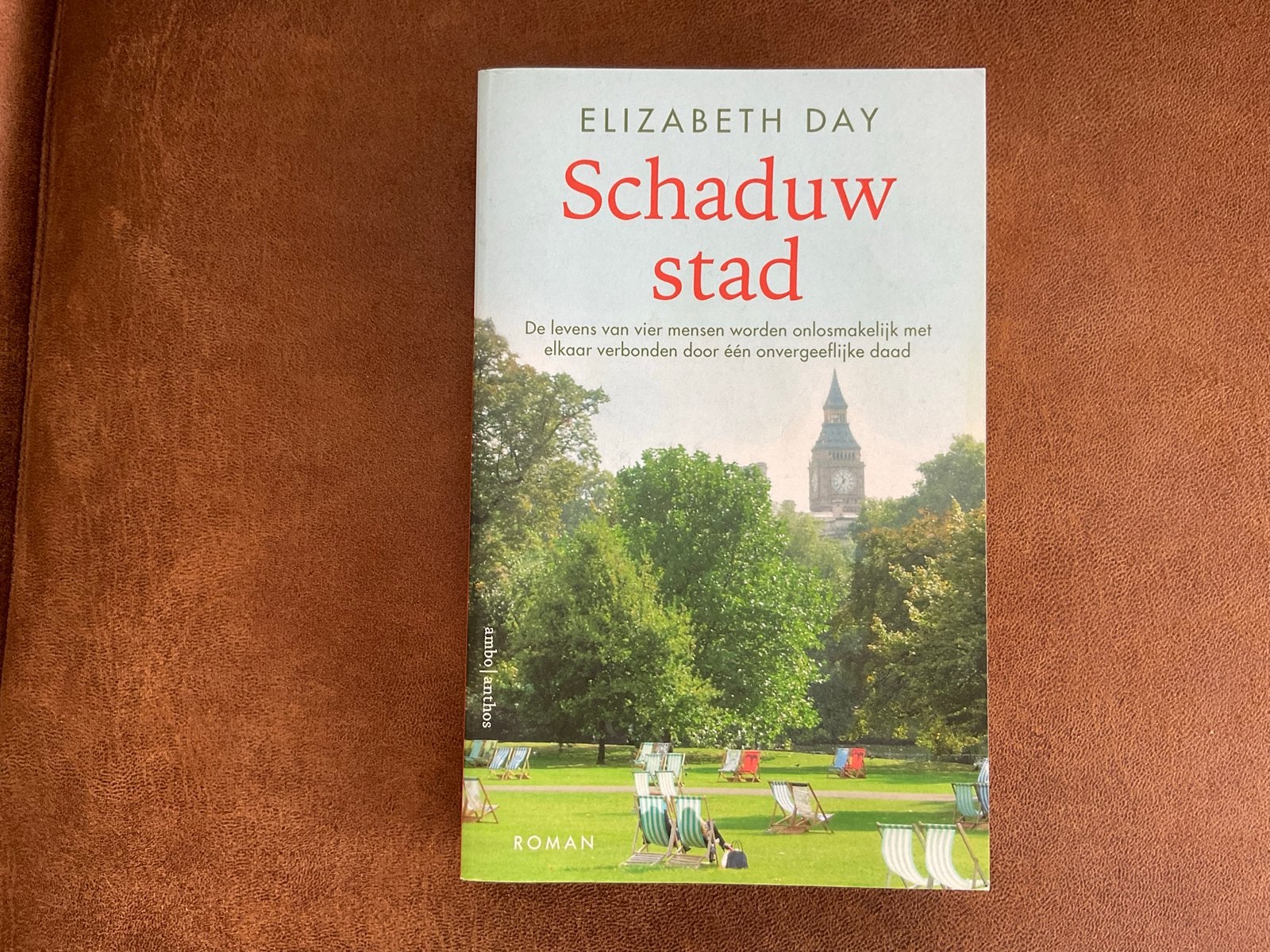 Schaduwstad - Elizabeth Day (Roman), Ophalen of Verzenden, Zo goed als nieuw, Nederland