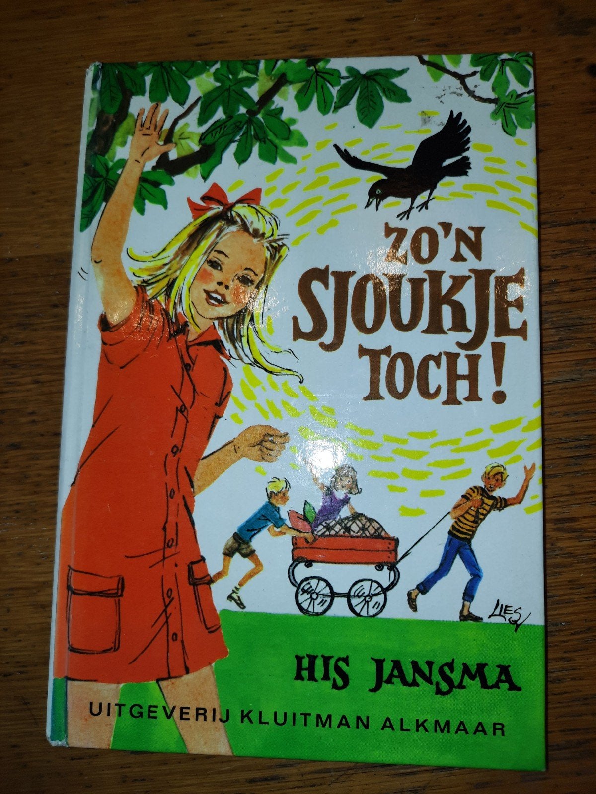 Zo'n Sjoukje Toch! - His Jansma (11e druk), Ophalen of Verzenden, Gelezen, His jansma, Fictie algemeen