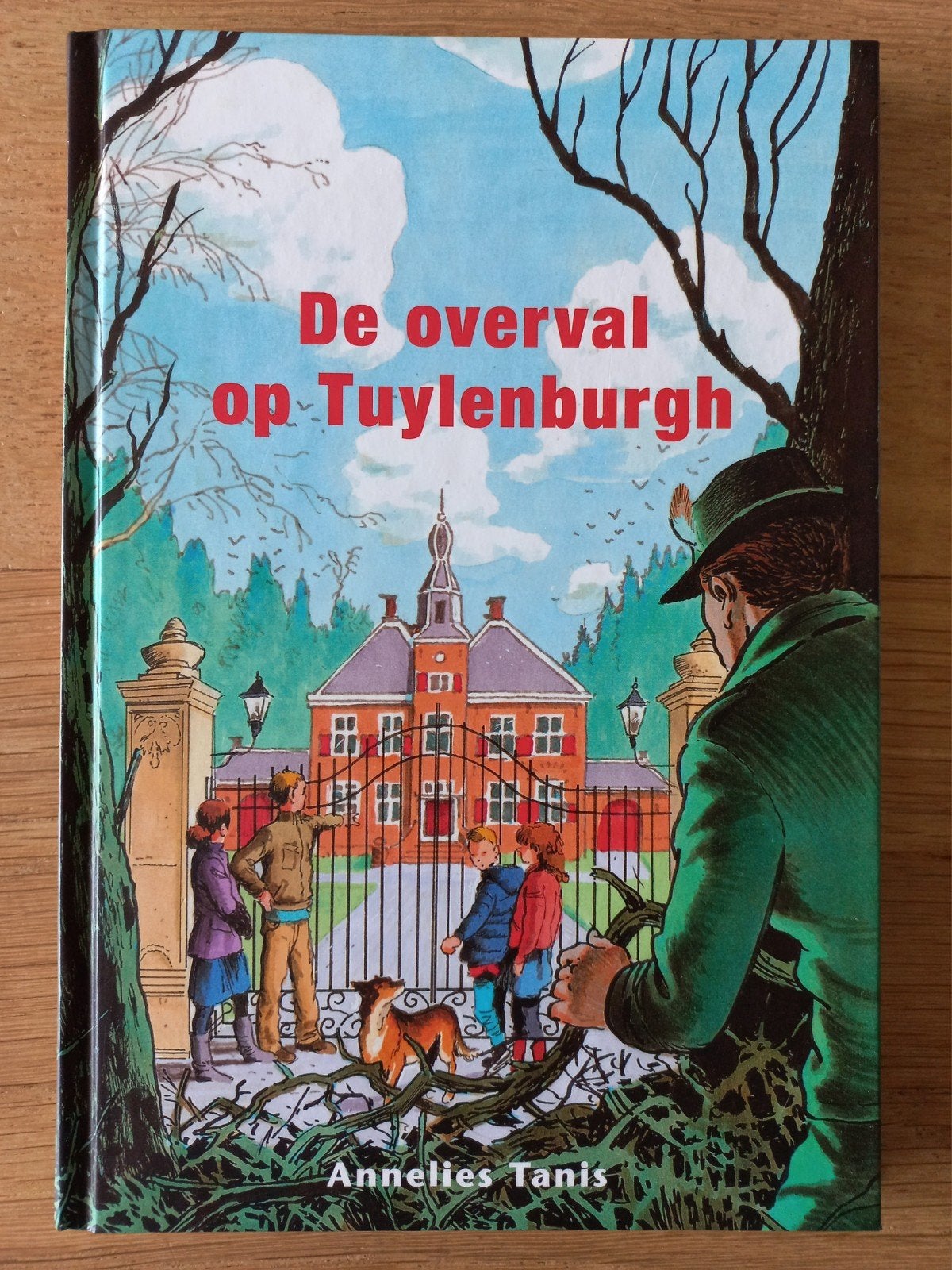 De overval op Tuylenburgh, Annelies Tanis, spannend chr ZGAN, Ophalen of Verzenden, Zo goed als nieuw