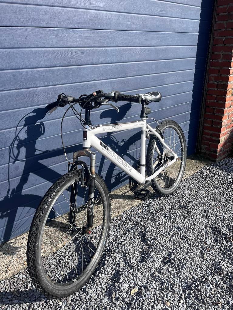 Mountainbike - leader evolution, Ophalen, Zo goed als nieuw, 14 tot 16 inch