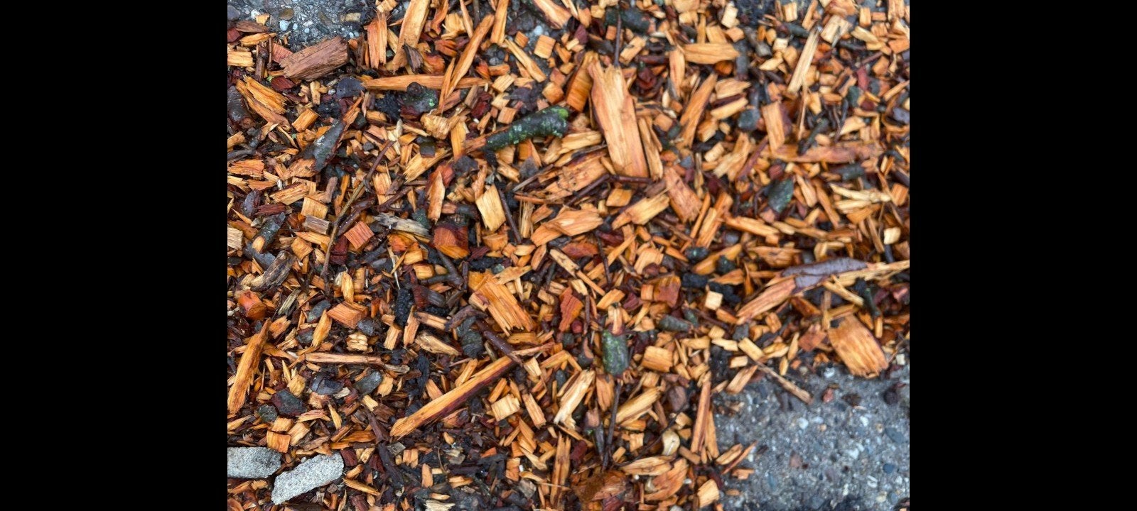 Houtsnippers - ideaal voor tuin en paden, Ophalen of Verzenden, Gebruikt, Overige typen