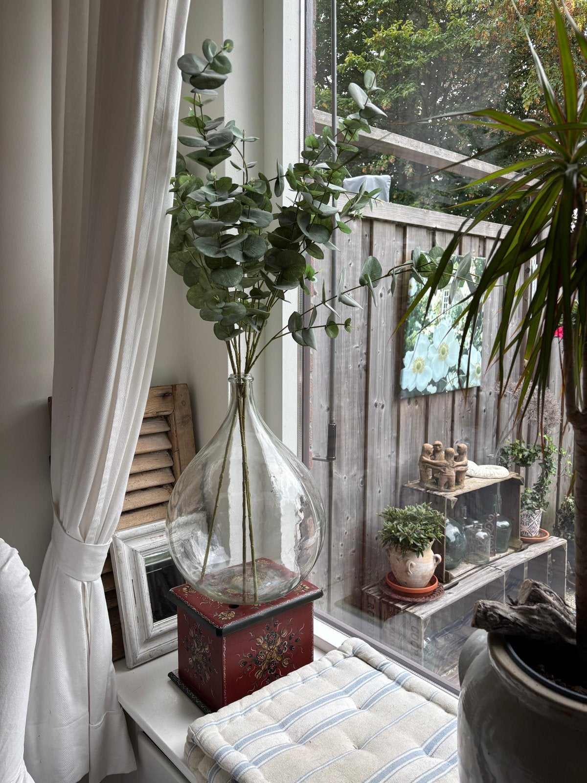 Grote glazen vaas met eucalyptus takken, Ophalen