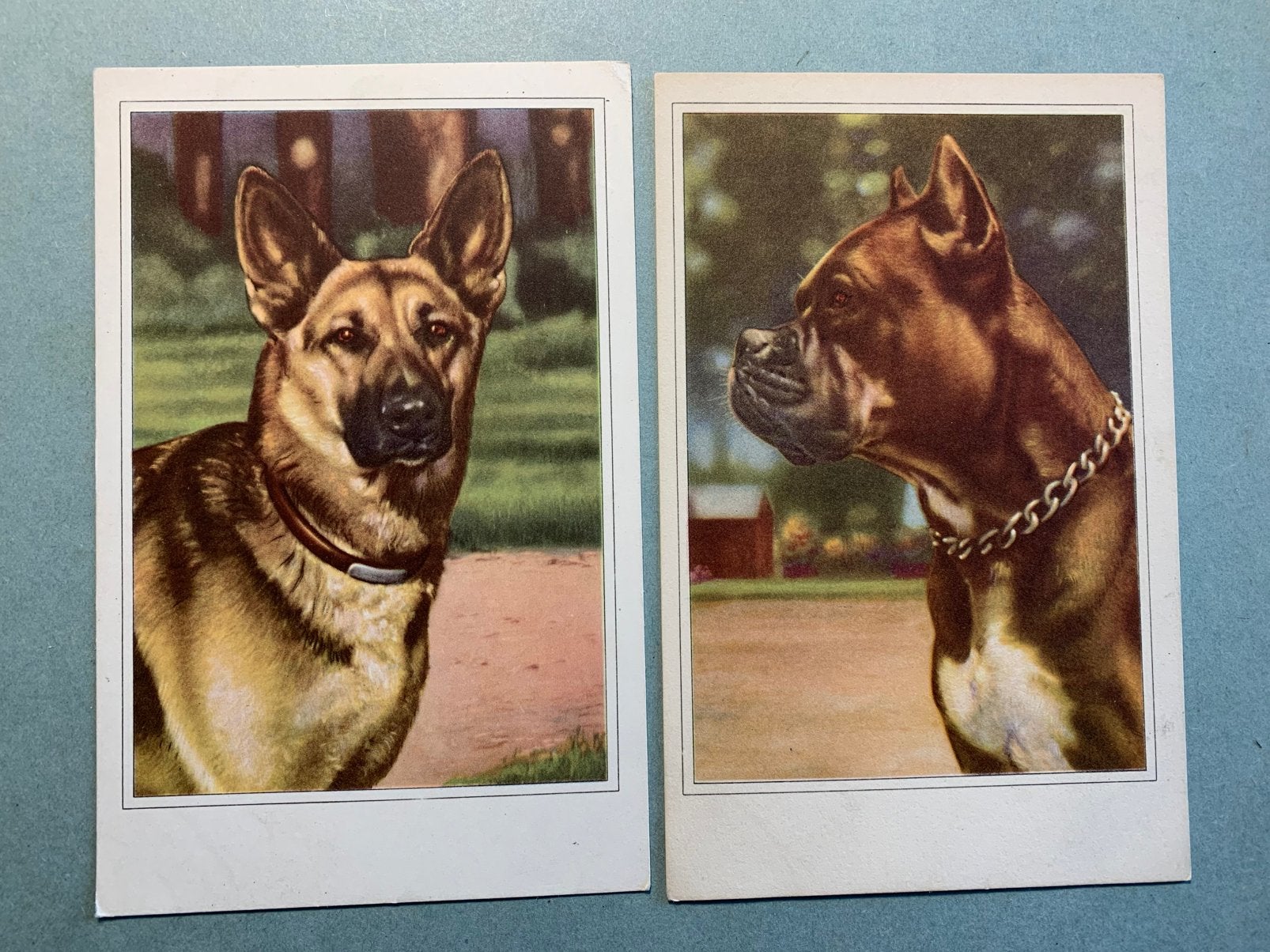 Hond - Herder en Boxer, Verzamelen, Ophalen of Verzenden, 1960 tot 1980, Ongelopen, Hond of Kat