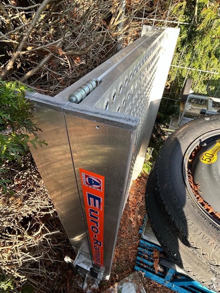Euro-Rampe Lift voor Mercedes Sprinter en andere bussen, Ophalen of Verzenden
