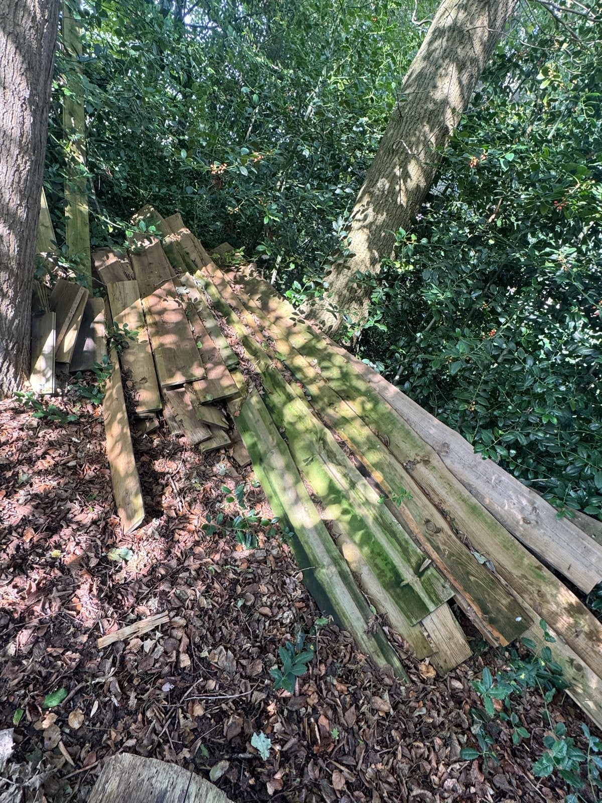 Diverse gebruikte houten planken en balken, Gebruikt, 25 tot 50 mm, Ophalen of Verzenden, Plank