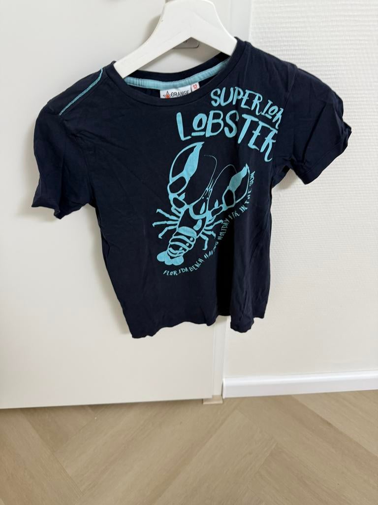 T-shirt maat 152, Ophalen of Verzenden, Zo goed als nieuw, Jongen, Shirt of Longsleeve