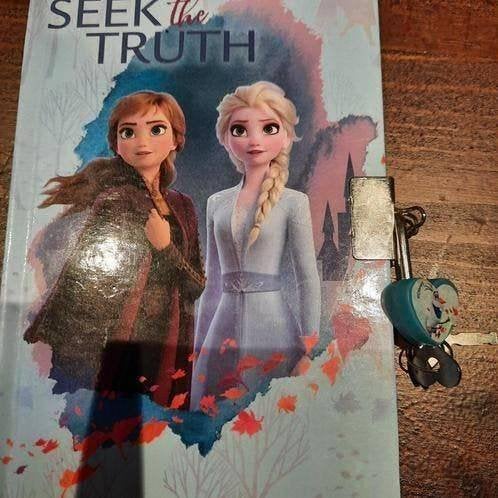 Frozen boekje met slot, Verzenden, Zo goed als nieuw