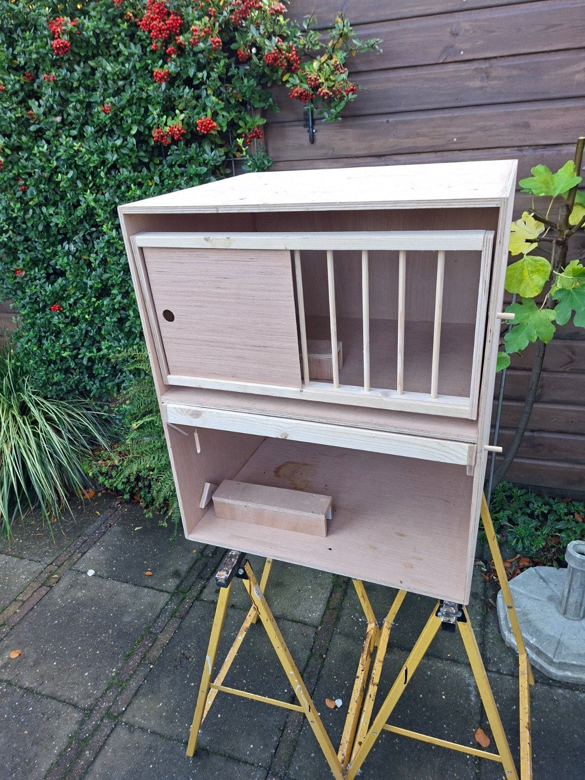 duiven broedhok, Meerdere dieren, Postduif
