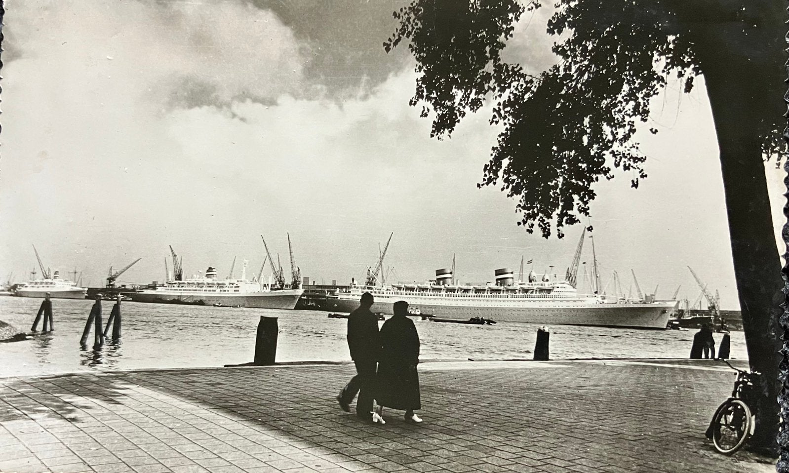 Ansichtkaart Rotterdam met schepen in de haven de Statendam-, Ophalen of Verzenden, 1940 tot 1960, Ongelopen, Zuid-Holland
