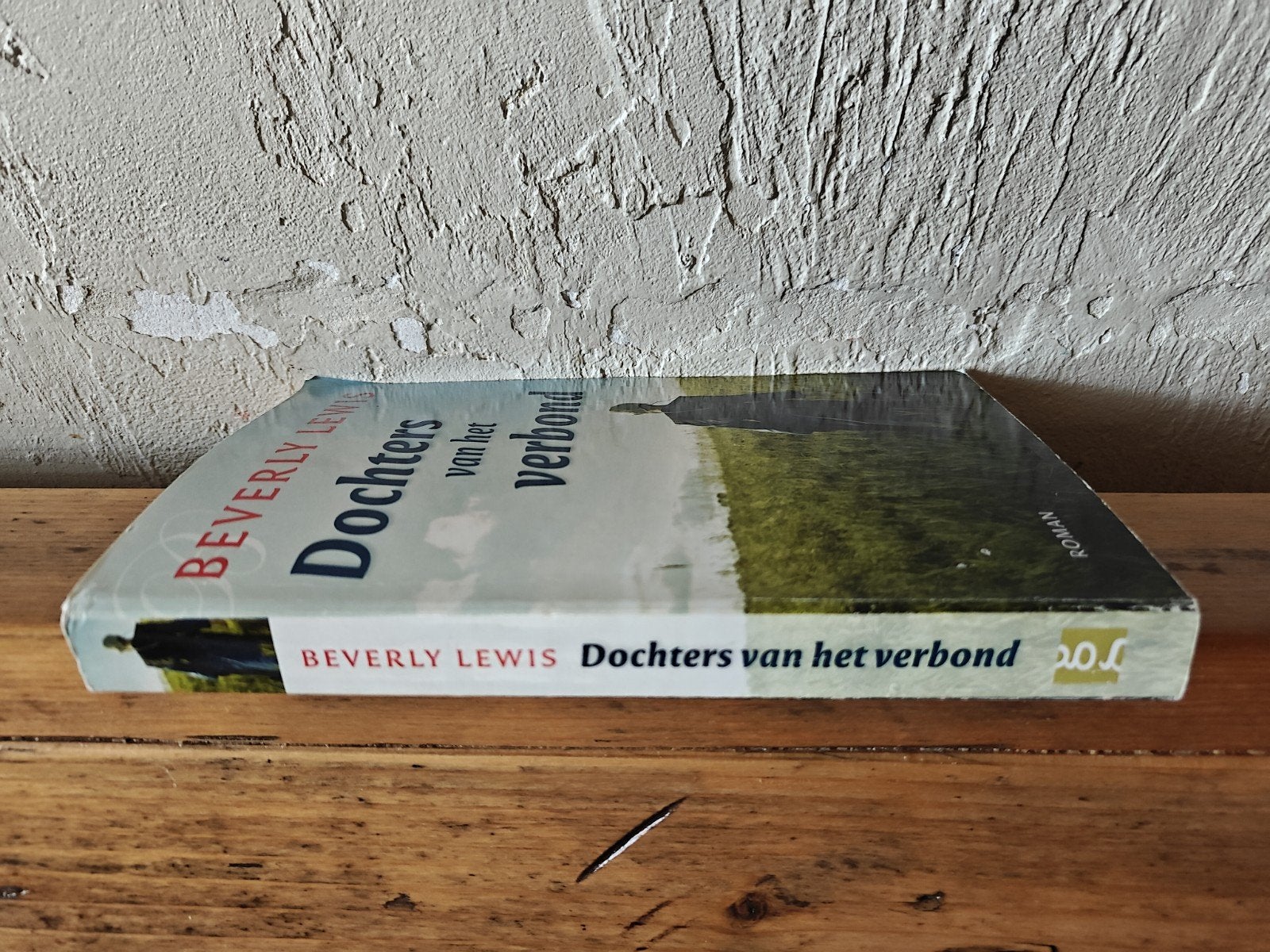 Dochters van het verbond., Boeken, Ophalen of Verzenden, Zo goed als nieuw