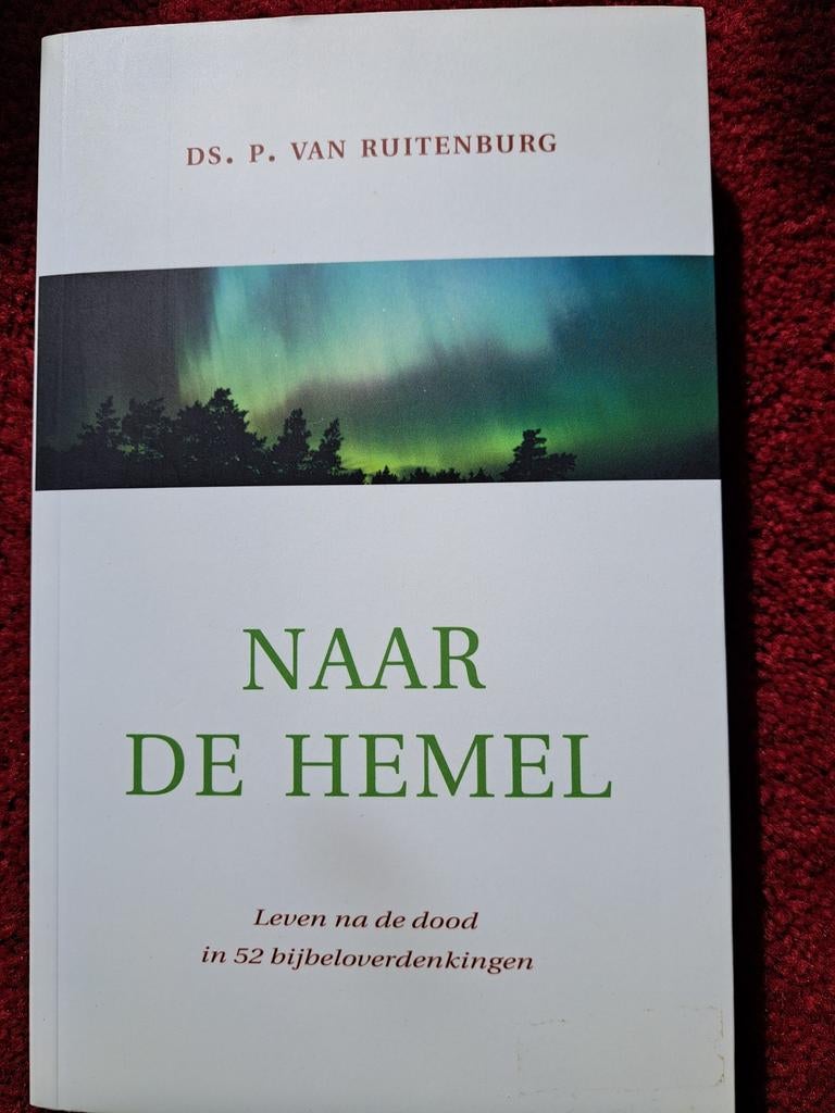 P. van Ruitenburg - Naar de hemel, Boeken, Godsdienst en Theologie, Gelezen, Ophalen of Verzenden