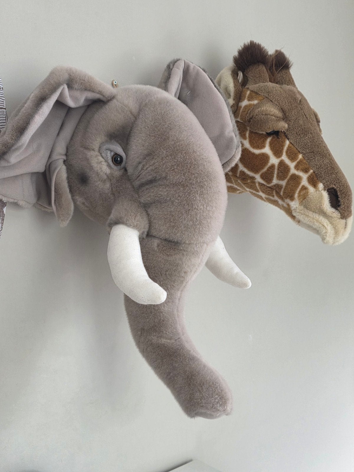 Wild en soft plushe dierenkoppen, Ophalen, Zo goed als nieuw, Olifant