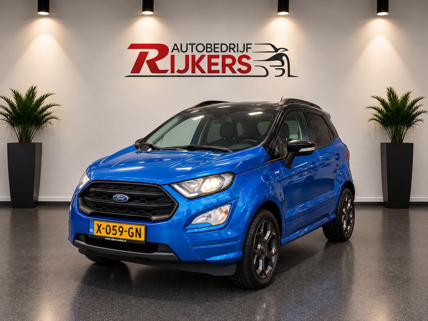 Ford EcoSport 1.0 EcoBoost ST-Line,Vewarmde Stoelen+stuur,Ap, Voorwielaandrijving, Dealer onderhouden, 125 pk, Gebruikt