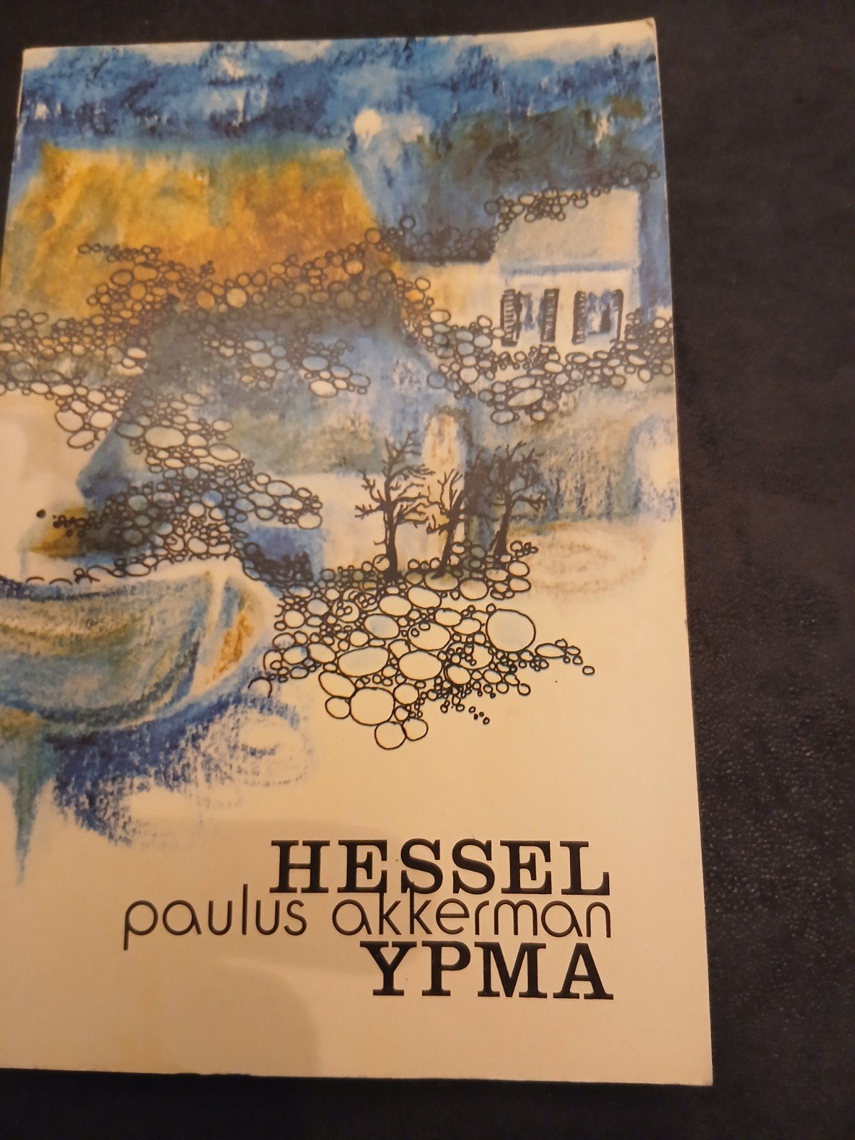 Hessel Paulus Akkerman Ypma - Kunstboek, Ophalen of Verzenden, Zo goed als nieuw, Hessel Paulus Akkerman Ypma, Nederland