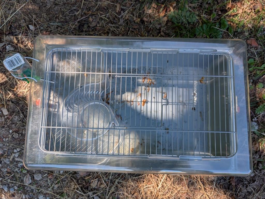 Te koop hamster kooi, Kooi, Minder dan 75 cm, Hamster, Ophalen