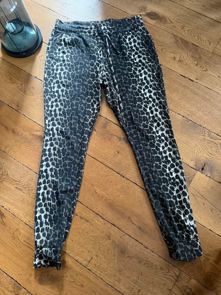 My phasion travelstof broek maat xxl, Kleding | Dames, Overige kleuren, Maat 46/48 (XL) of groter, Ophalen of Verzenden, Zo goed als nieuw
