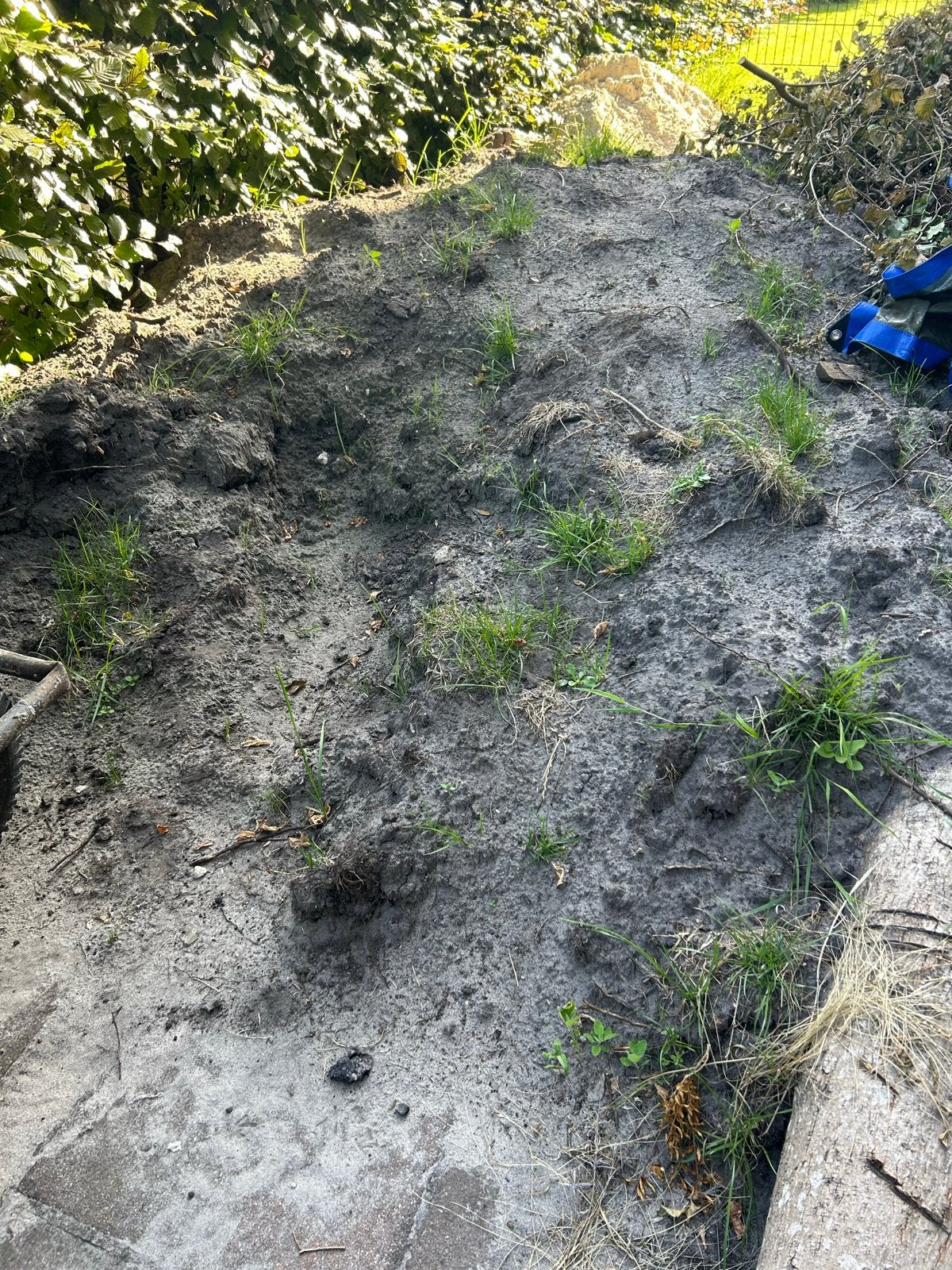 GRATIS afhalen - Zwarte grond / tuin aarde circa 4m3, Ophalen, Tuinaarde