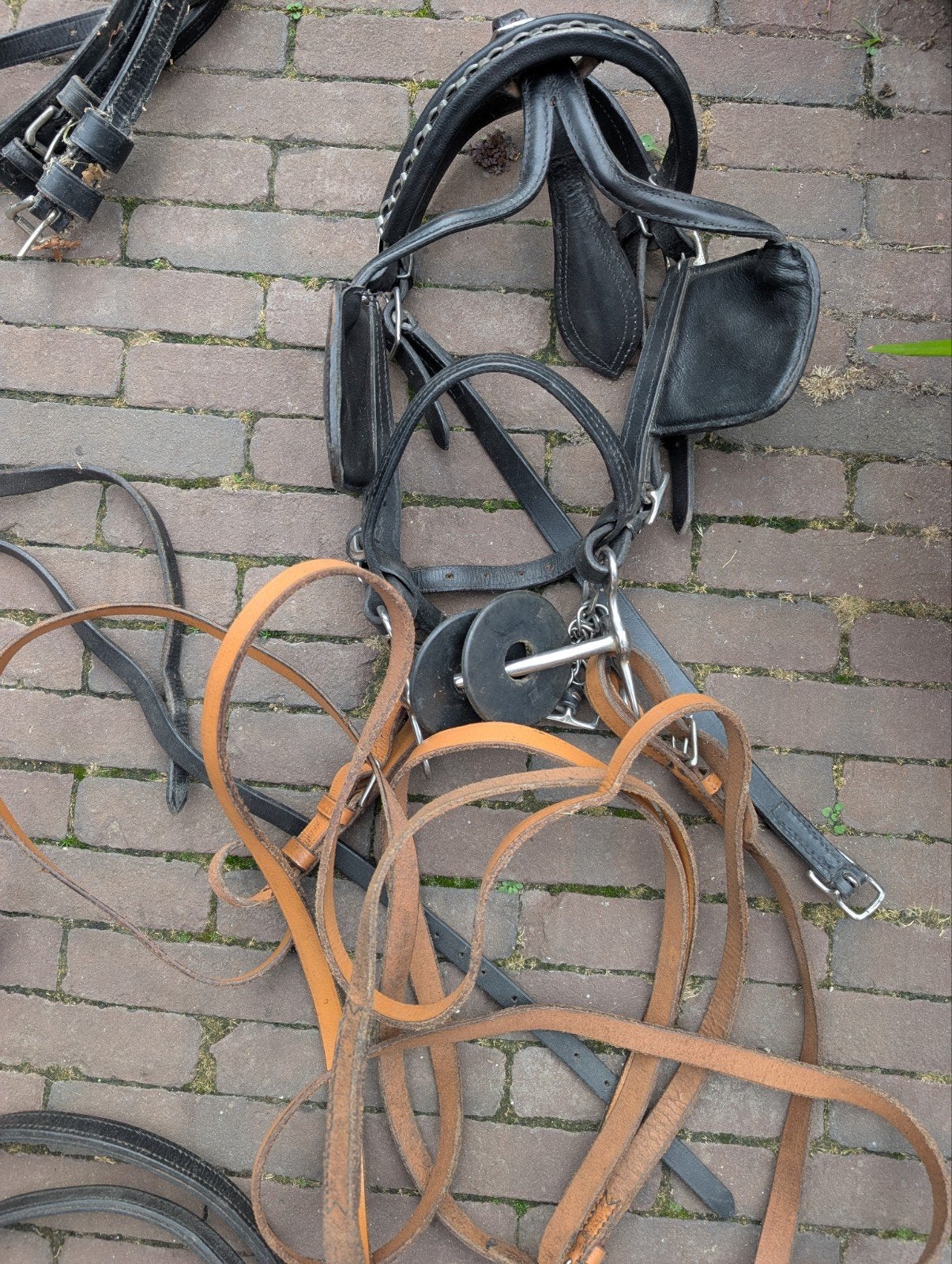 mentuig voor kleine pony of shetlander, Dieren en Toebehoren, Ophalen of Verzenden, Mentuig, Shetlander