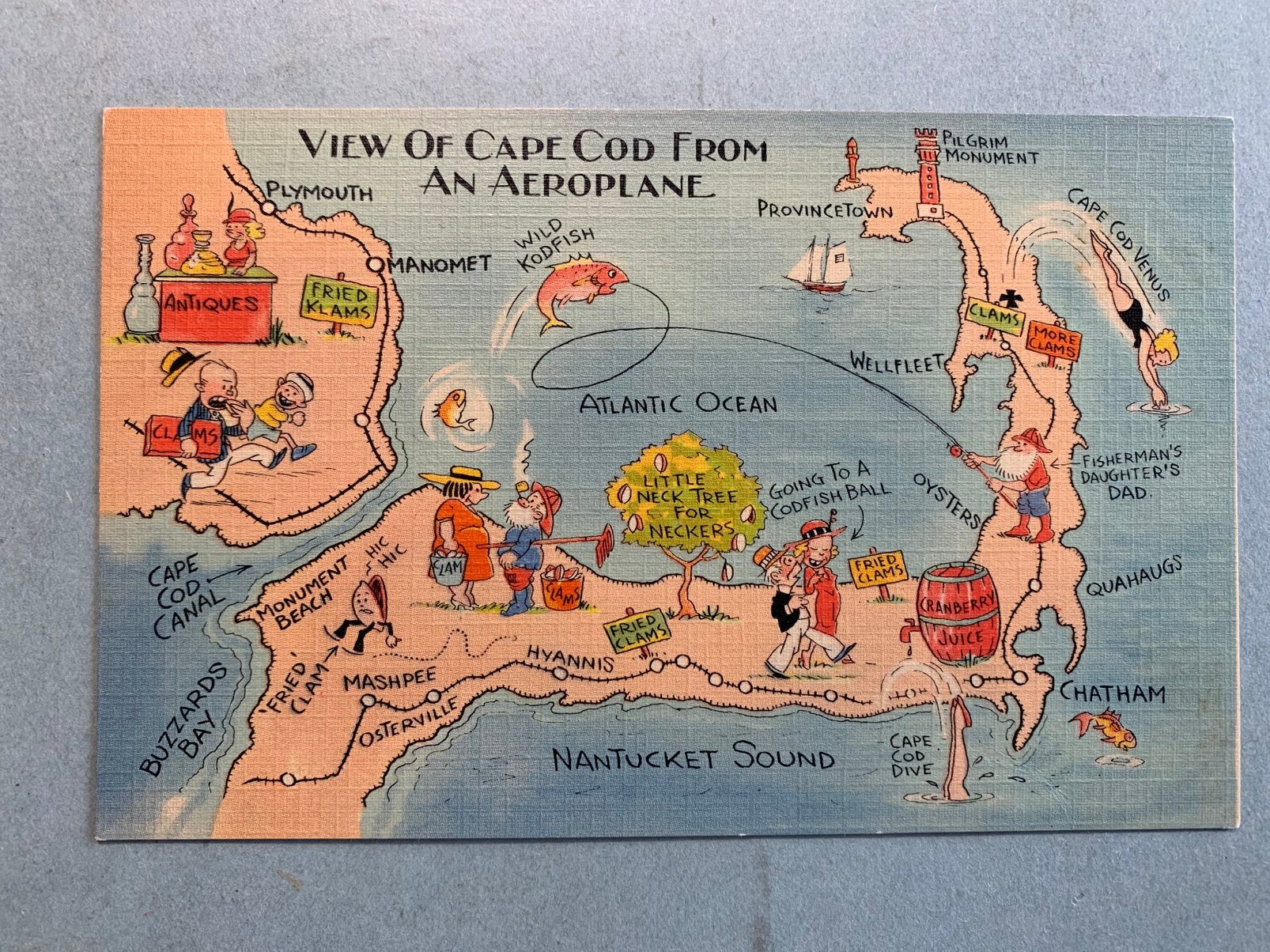 View of Cape Cod from an Aeroplane, Ophalen of Verzenden, 1920 tot 1940, Ongelopen, Buiten Europa