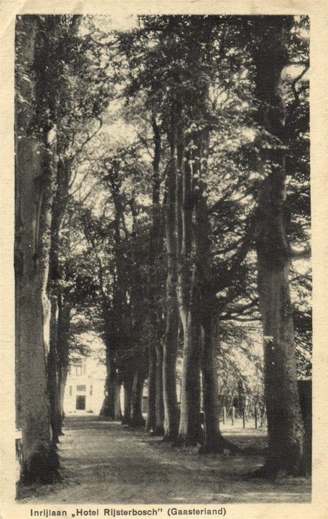 Inrijlaan Hotel Rijsterbosch [Gaasterland] - ongelopen, Verzamelen, Ophalen of Verzenden, 1920 tot 1940, Ongelopen, Friesland