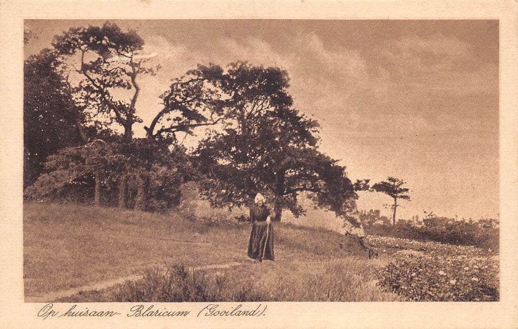 055 Op huis aan Blaricum - klederdracht, Ophalen of Verzenden, Voor 1920, Ongelopen, Noord-Holland