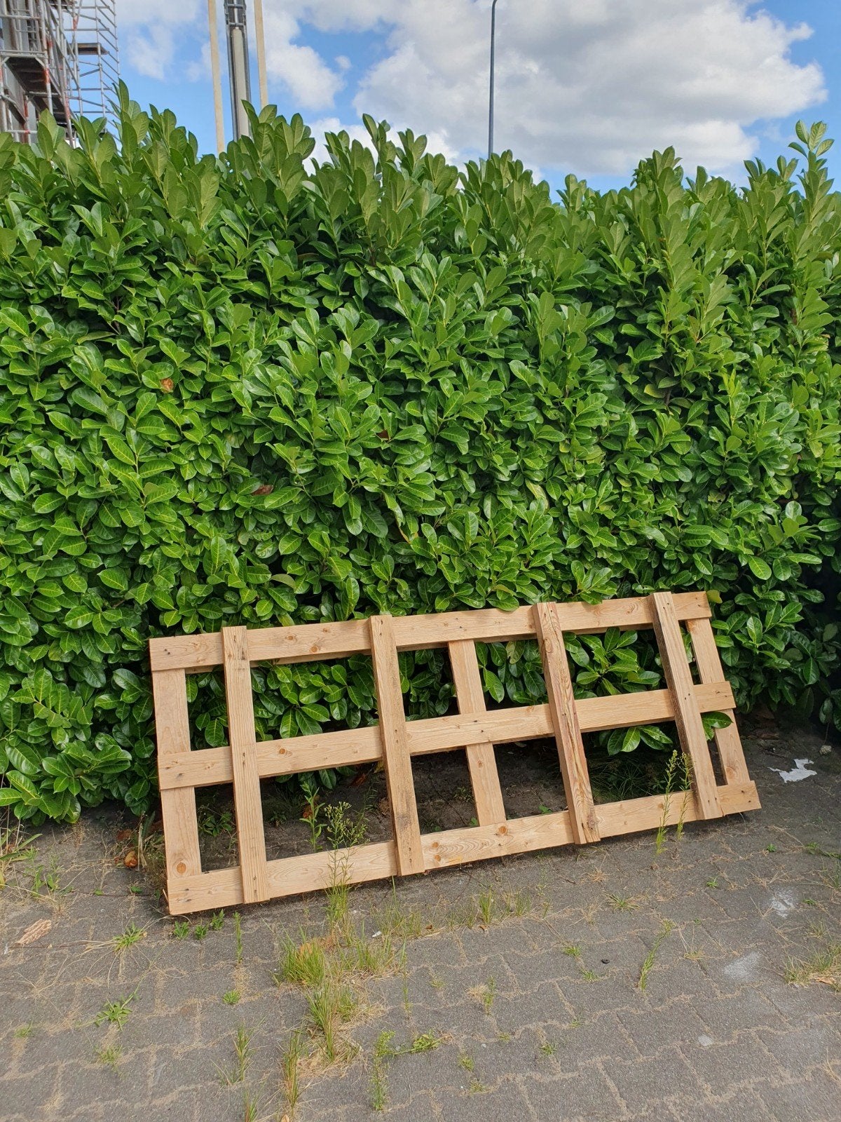 Houten pallet - Zo goed als nieuw, Ophalen, 25 tot 50 mm, Grenen, Zo goed als nieuw