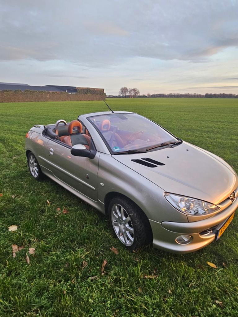 Peugeot 206 CC cabrio 16v " Roland Garros ", Ophalen