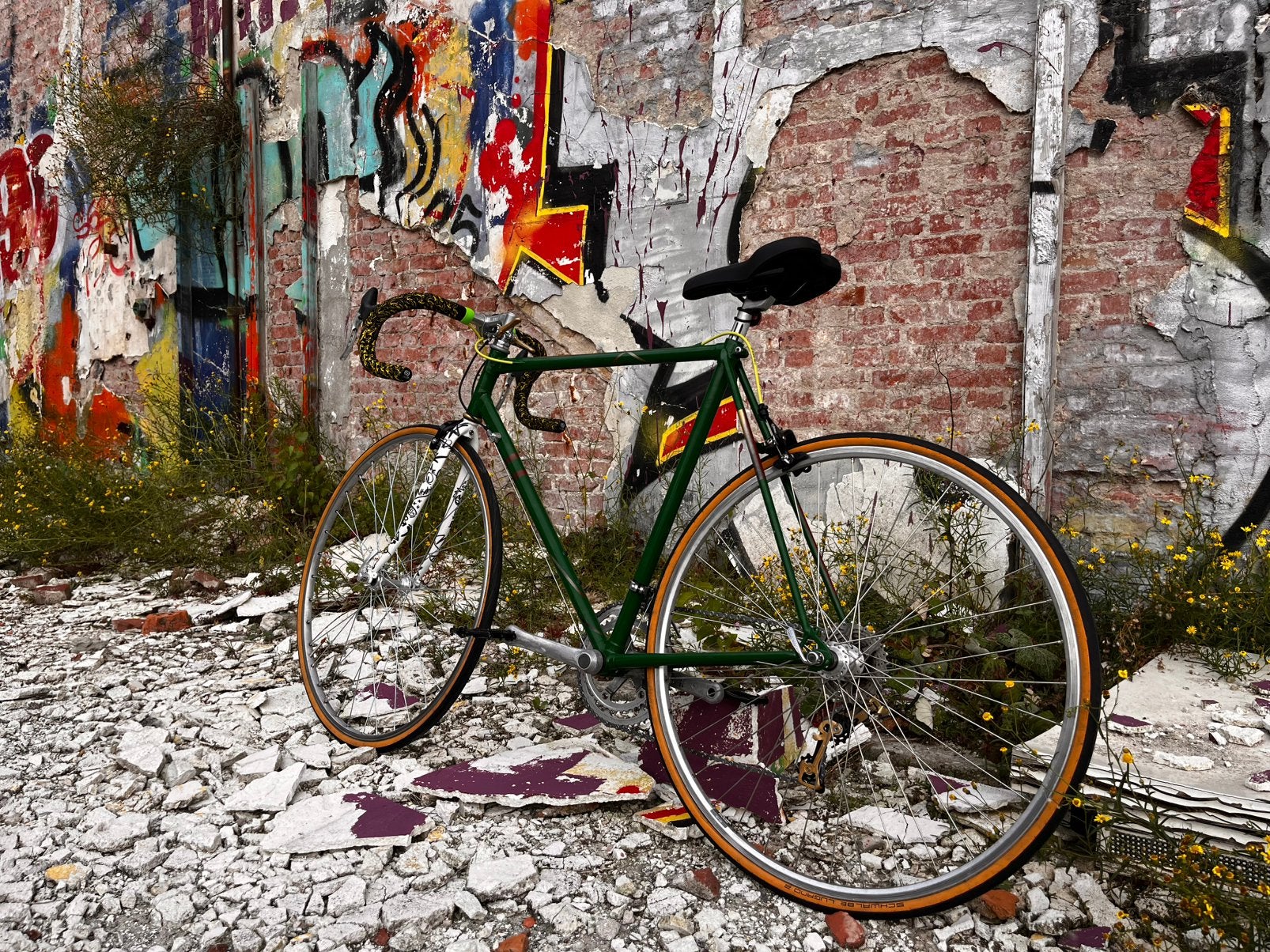 Custom Painted crazy cool new Vintage Hybrid 2X10 Steel Bike, 49 tot 53 cm, Zo goed als nieuw, Ophalen, Overige merken