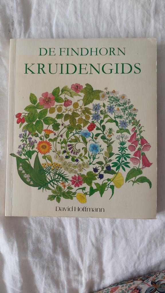 De Findhorn Kruidengids - David Hoffmann, Boeken, Ophalen of Verzenden, Gelezen, Kruiden en Alternatief, David Hoffmann