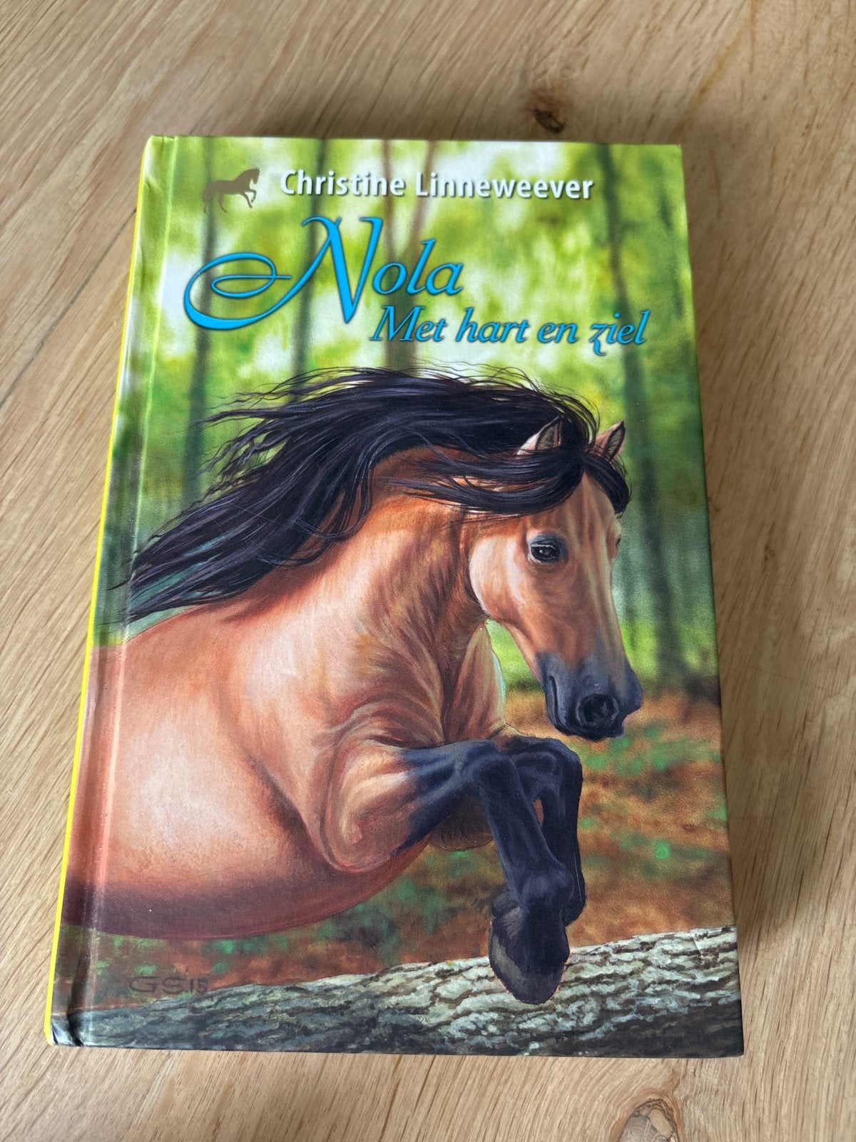 Nola Met hart en ziel - Christine Linneweever, Boeken, Ophalen of Verzenden, Zo goed als nieuw, Fictie algemeen