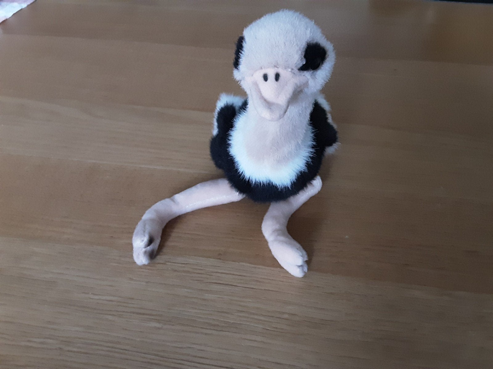 Schattige WWF Struisvogel Knuffel - Zo goed als nieuw, Overige merken, Overige typen, Zwart, Ophalen of Verzenden