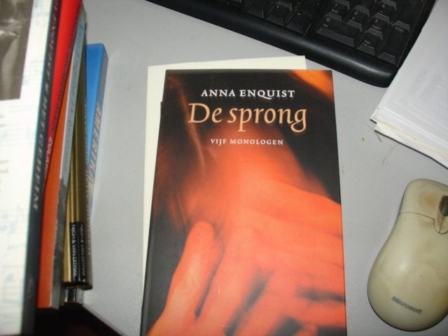 anna enquist - de sprong, Boeken, Ophalen of Verzenden, Zo goed als nieuw, Nederland