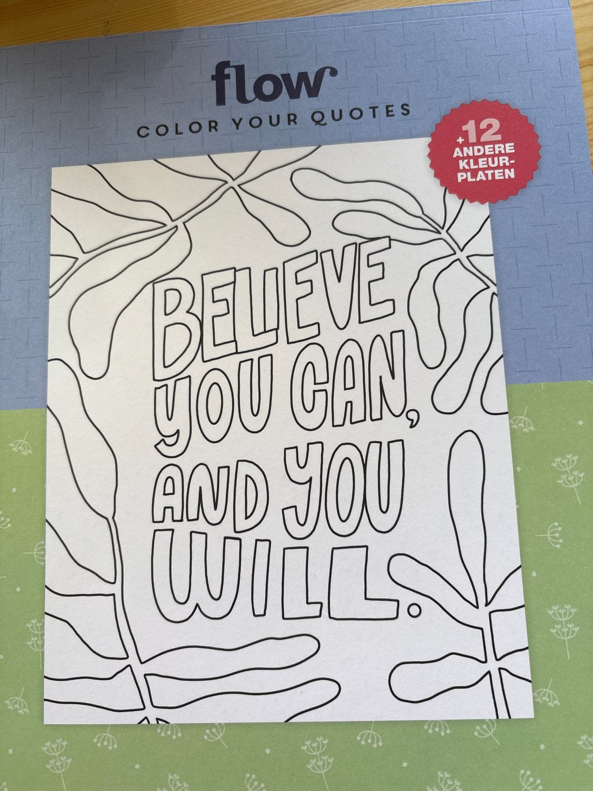 Flow Color Your Quotes Kleurplatenboek, Ophalen of Verzenden, Nieuw, Boek of Gids