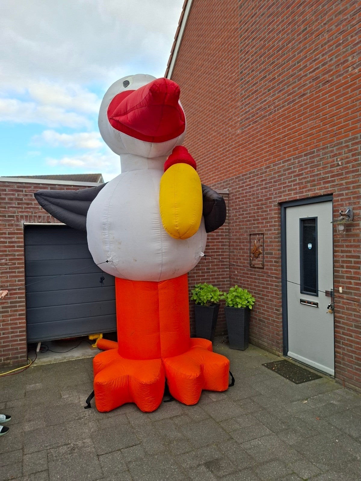 ooievaar, Ophalen of Verzenden, Nieuw