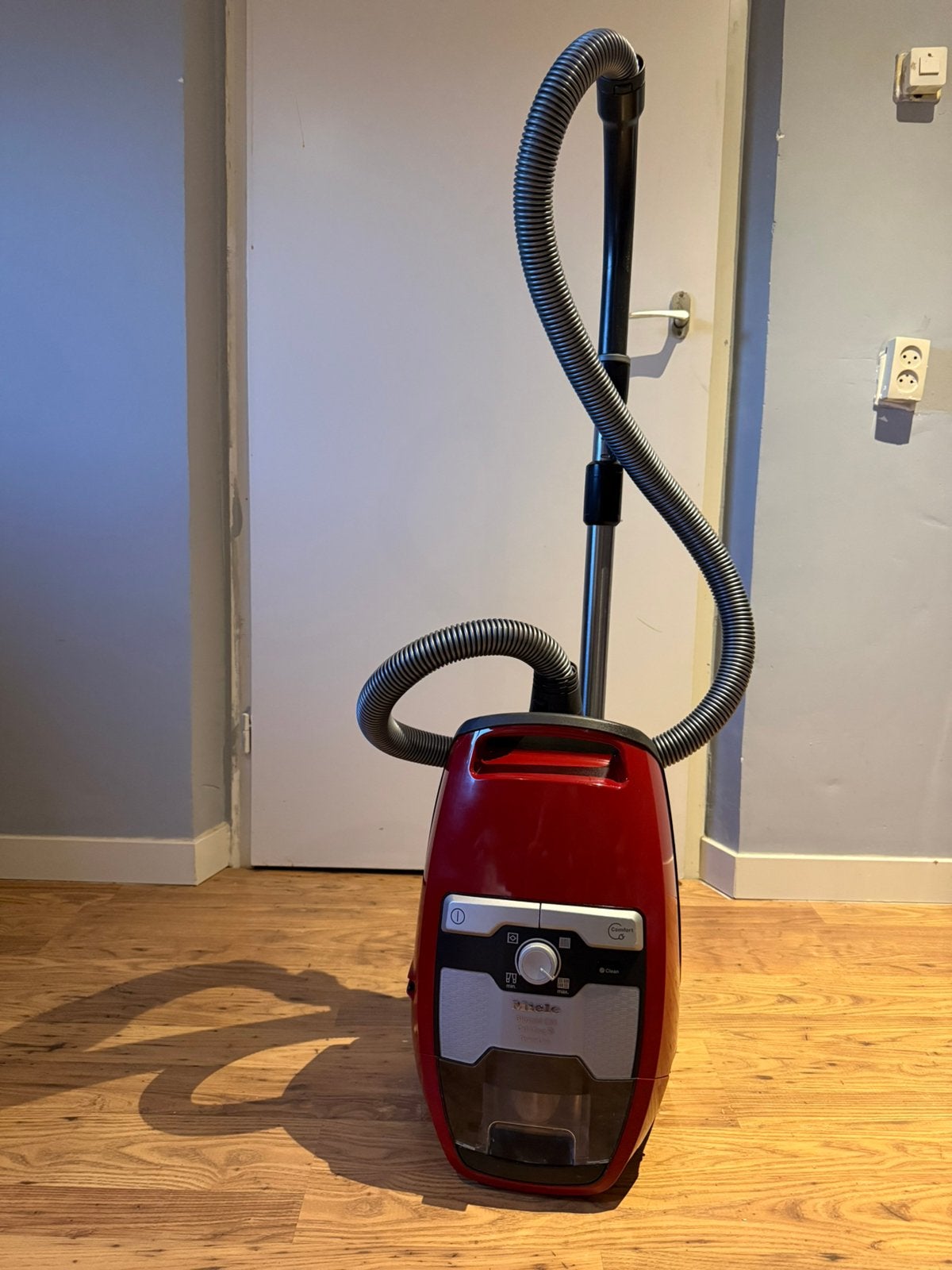 Miele blizzard cat&dog powerline zakloos new turboteq voet., Witgoed en Apparatuur, Stofzuigers, Refurbished, Ophalen of Verzenden