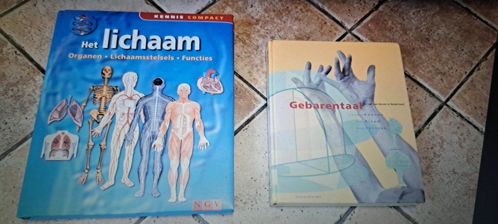 Het Lichaam & Gebarentaal boeken - Kennis Compact, Nieuw, Diverse auteurs, Ophalen of Verzenden, Beta