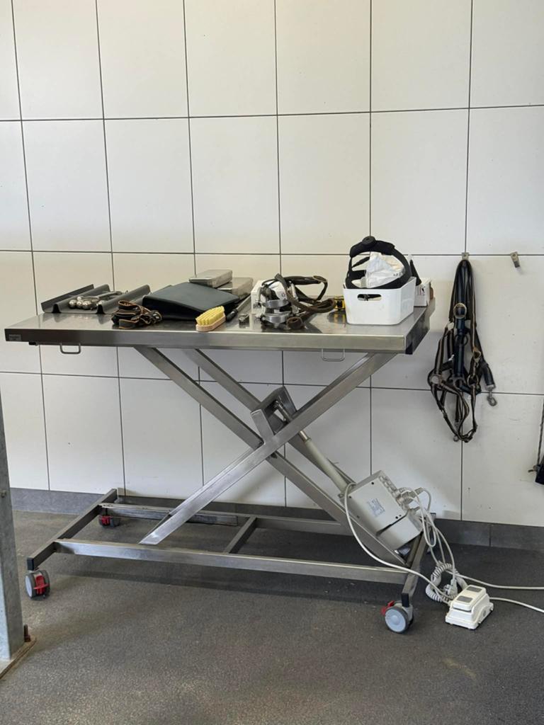 Roestvrijstalen Elektrische Heftafel voor Dierenkliniek, Ophalen