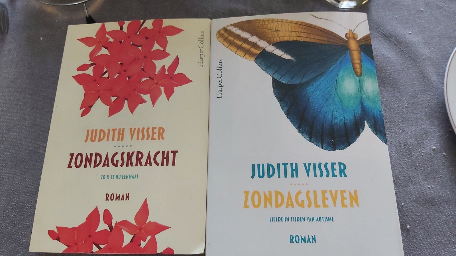 Judith Visser - Zondagskracht & Zondagsleven (2 romans), Ophalen of Verzenden, Zo goed als nieuw, Judith Visser, Nederland