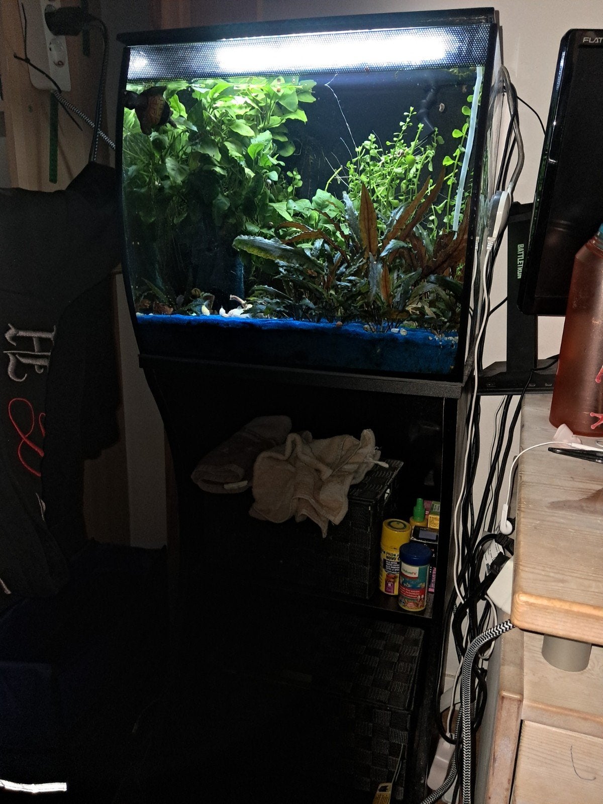 Fluval aquarium 60 liter, Ophalen, Leeg aquarium