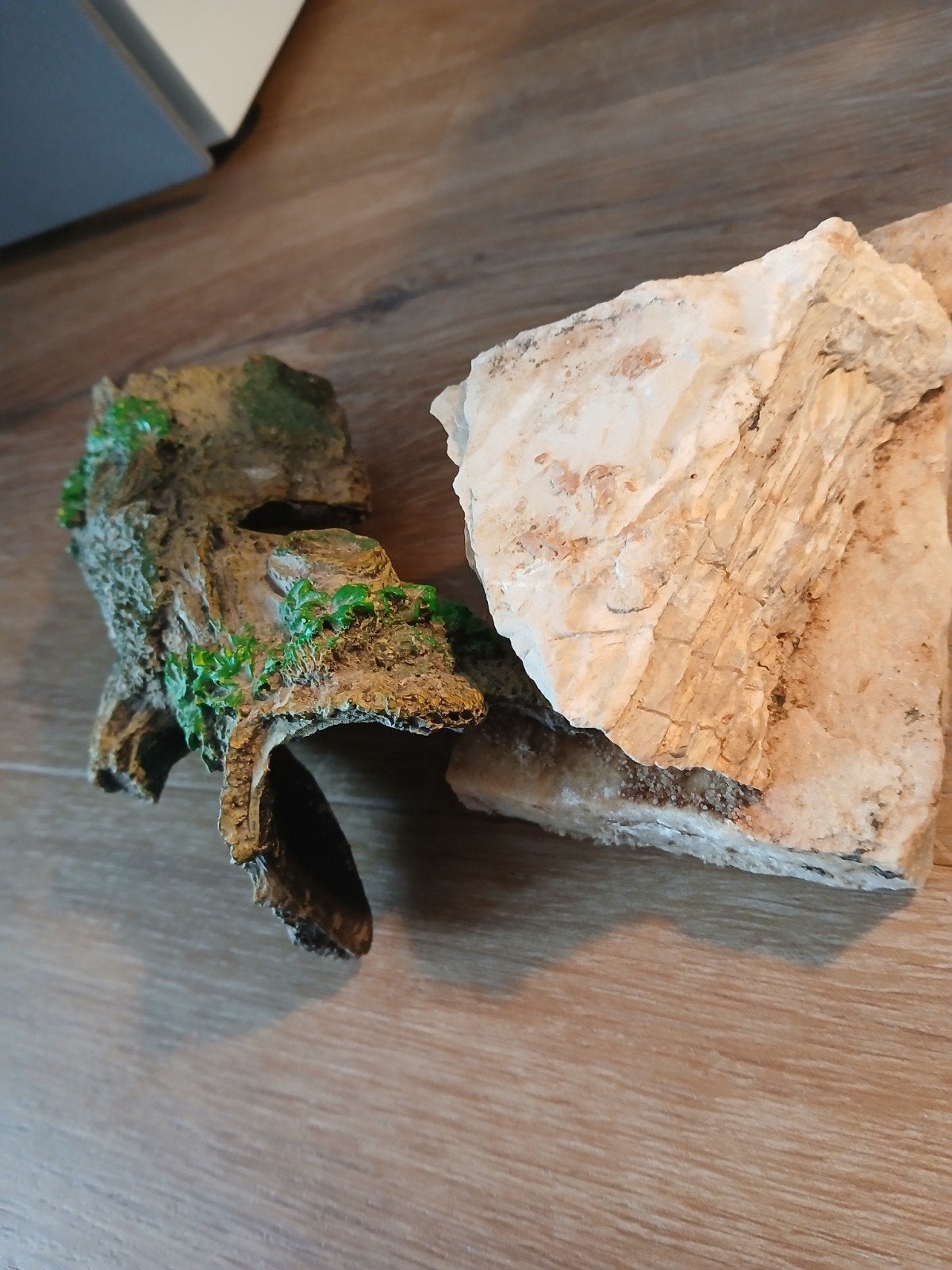 terraruim spullen, Ophalen of Verzenden, Tak, Plant, Rots of Steen