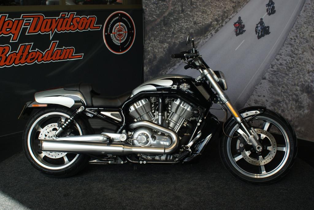 Harley-Davidson VRSCF V-Rod Muscle (bj 2009), Motoren, Laan van Vredenoord 33
2289 DA  RIJSWIJK, NL, Bedrijf, Overig, Sales@harleydavidsonrotterdam.nl