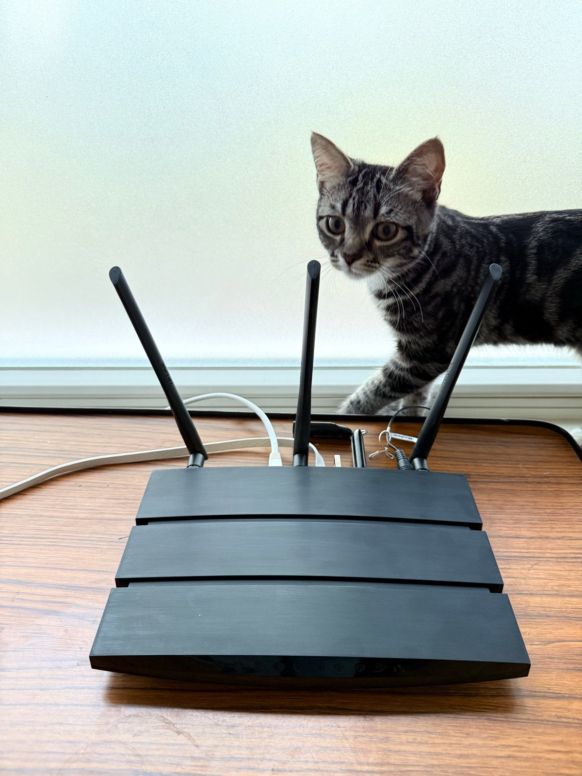 50% OFF TP-Link met USB opslag MAC Cloning VPN, Computers en Software, Ophalen of Verzenden, Gebruikt, Router