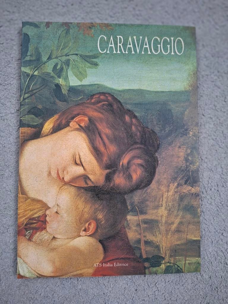 Caravaggio (engelstalig), Boeken, Kunst en Cultuur | Beeldend, Ophalen of Verzenden, Gelezen